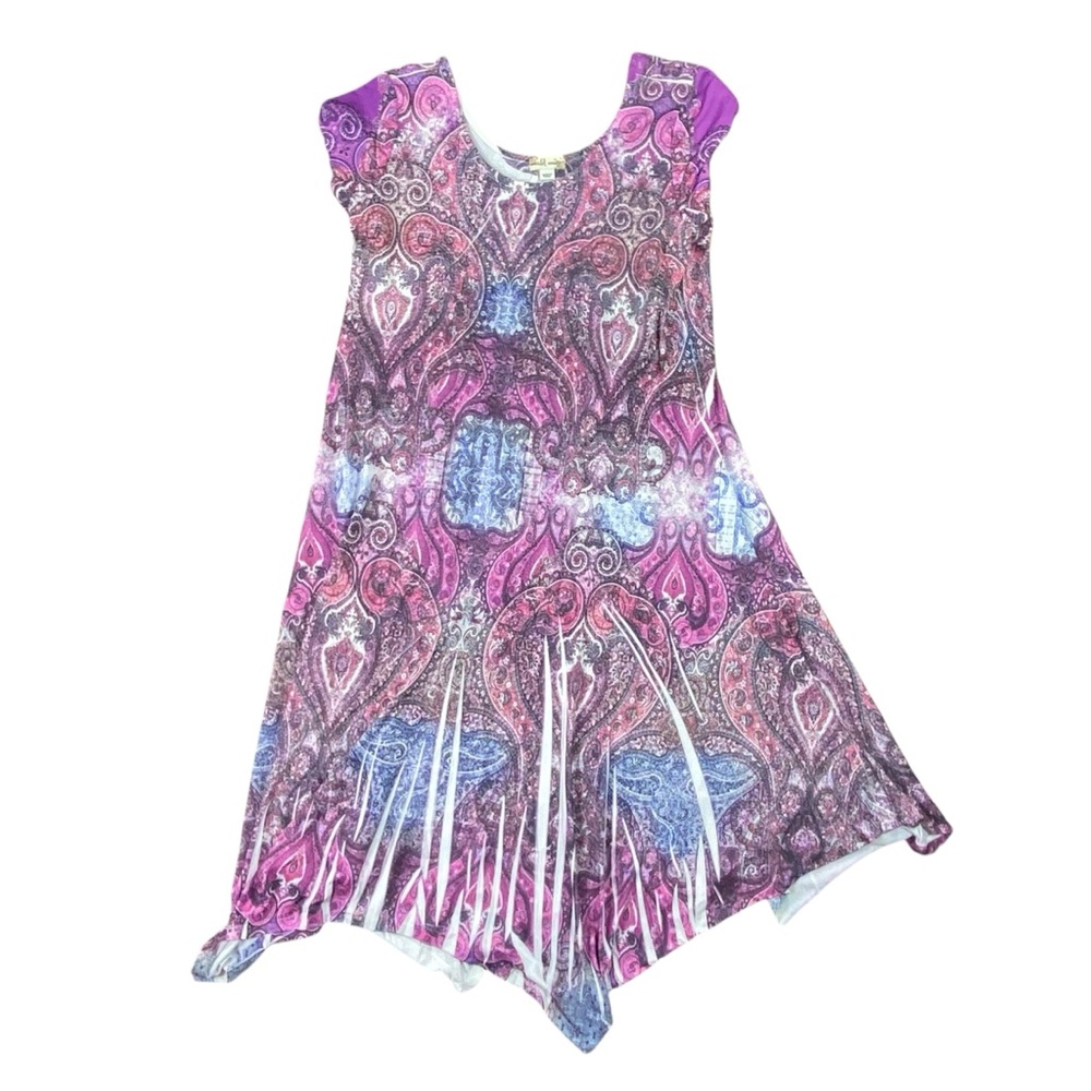 Woman’s World Unity stretchy multicolor paisley print dress size L